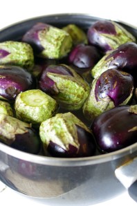 aubergines